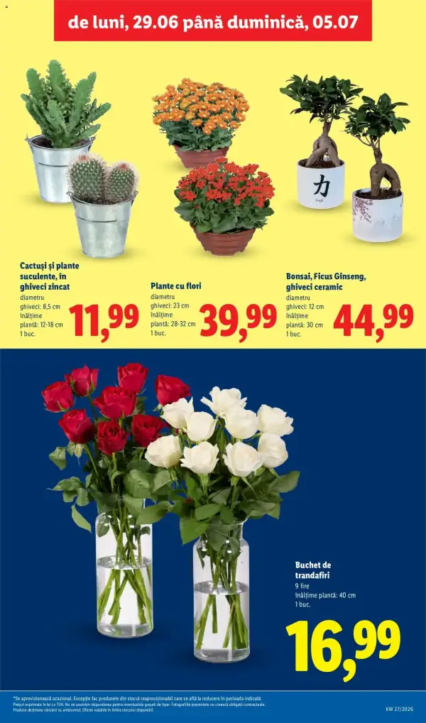 Pagina 55