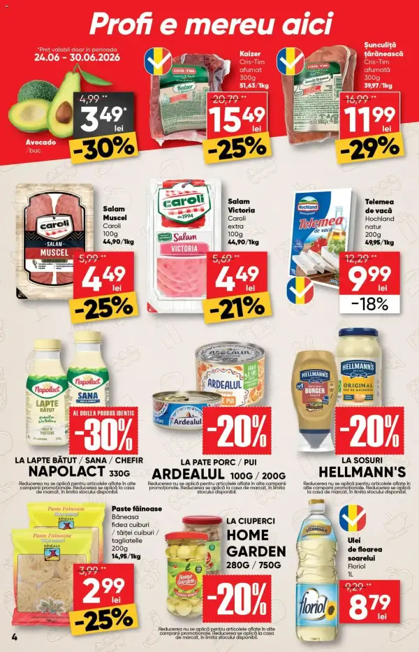 Pagina 4