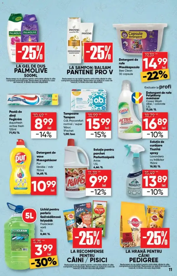 Pagina 11