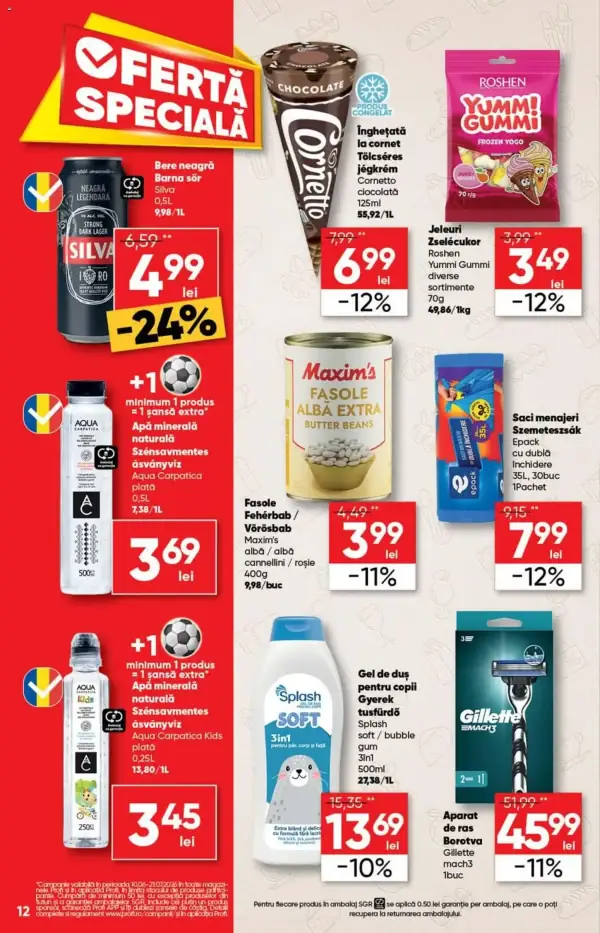 Pagina 12