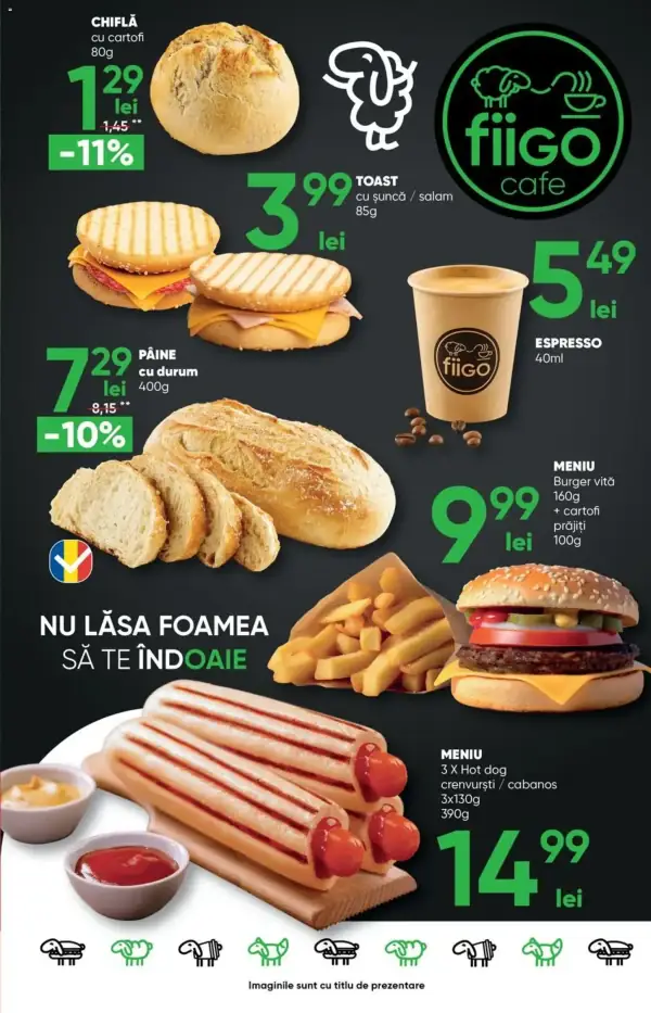 Pagina 11
