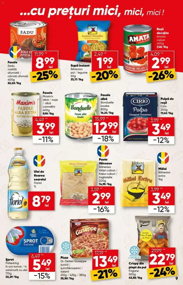 Pagina 9
