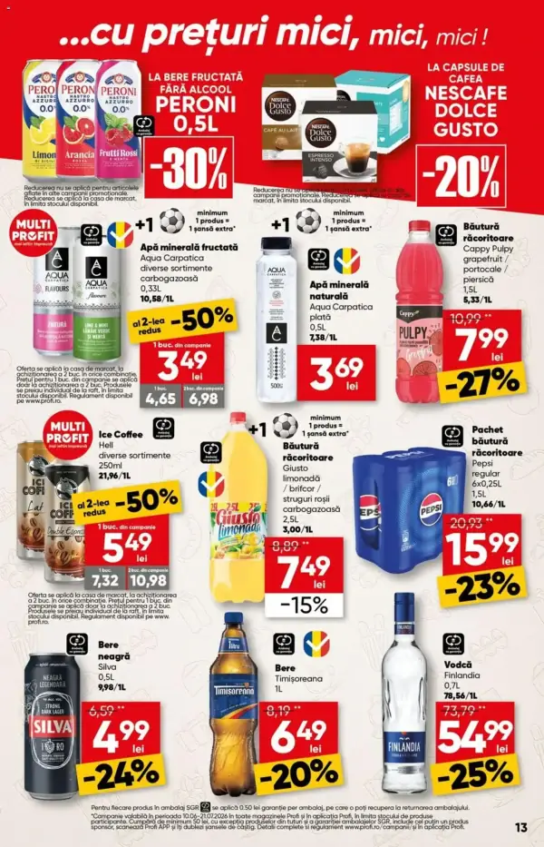 Pagina 13