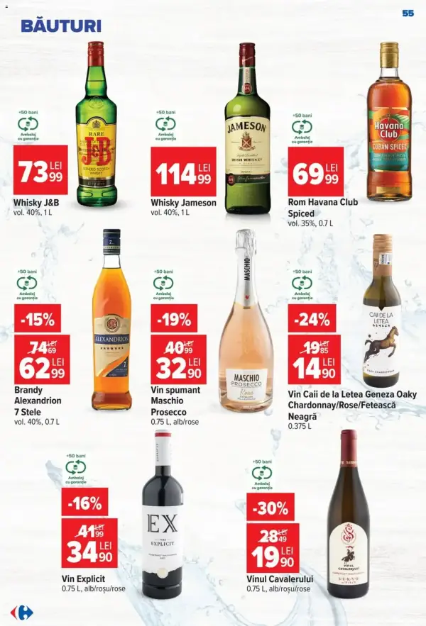 Pagina 55