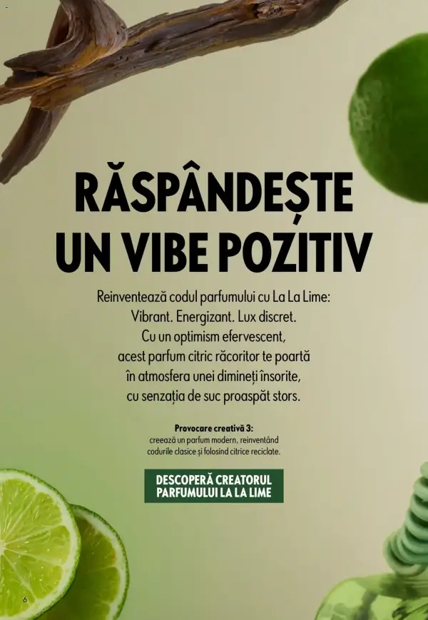 Pagina 6