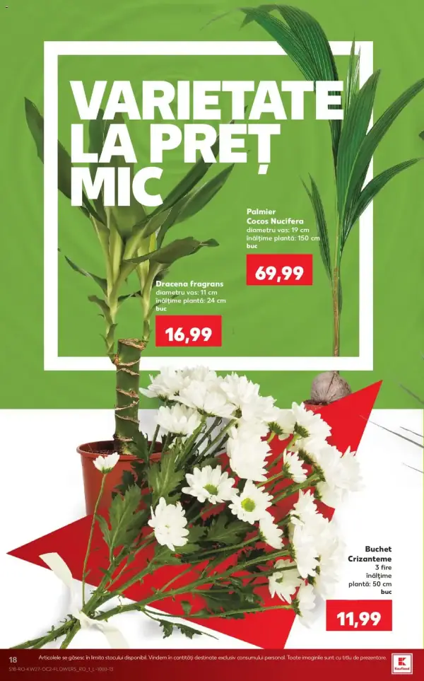 Pagina 18