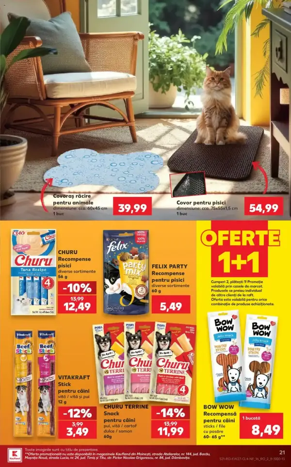 Pagina 21