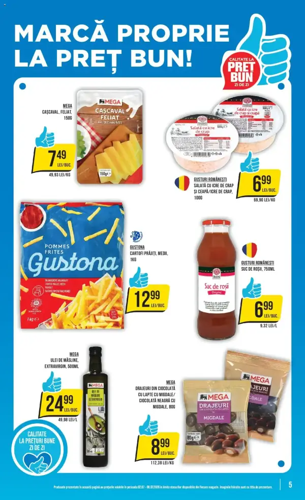 Pagina 5