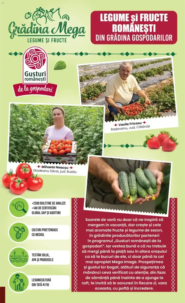 Pagina 7