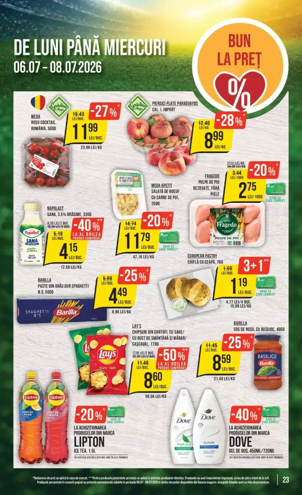 Pagina 23