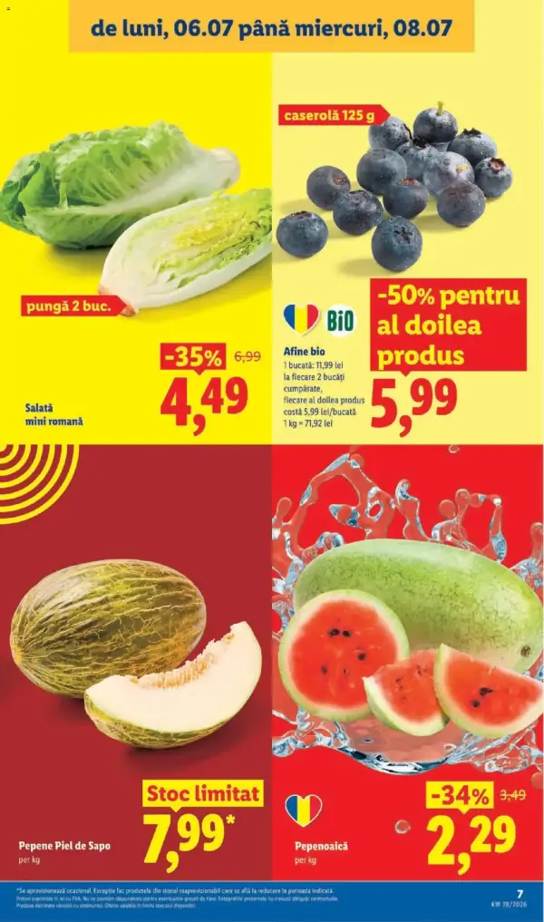 Pagina 7