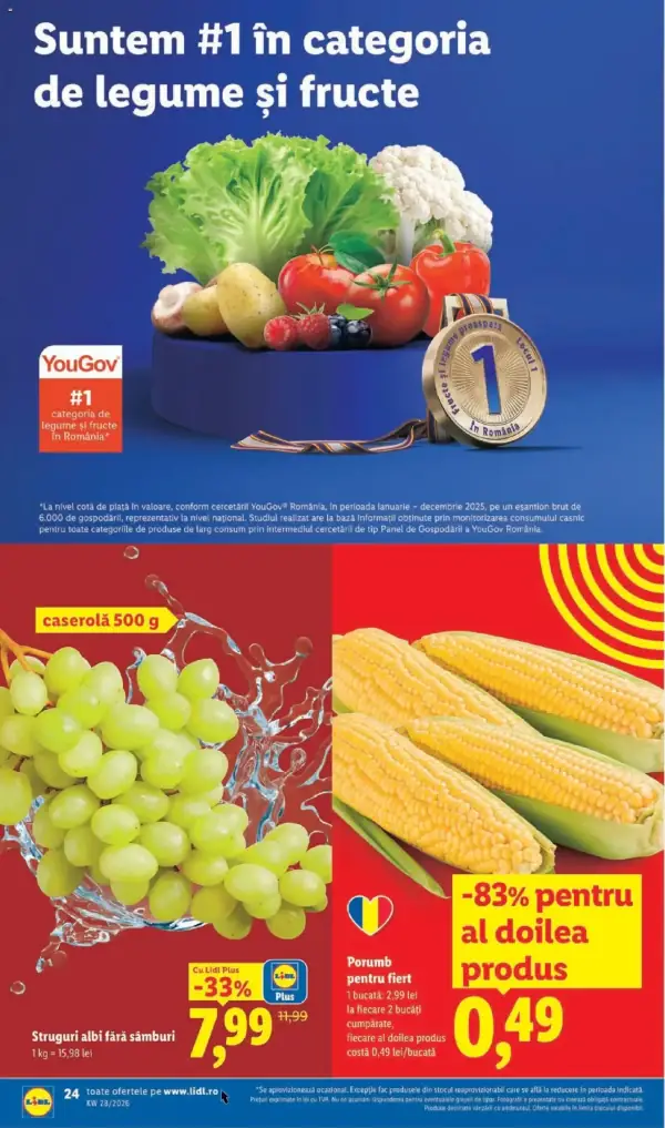 Pagina 24