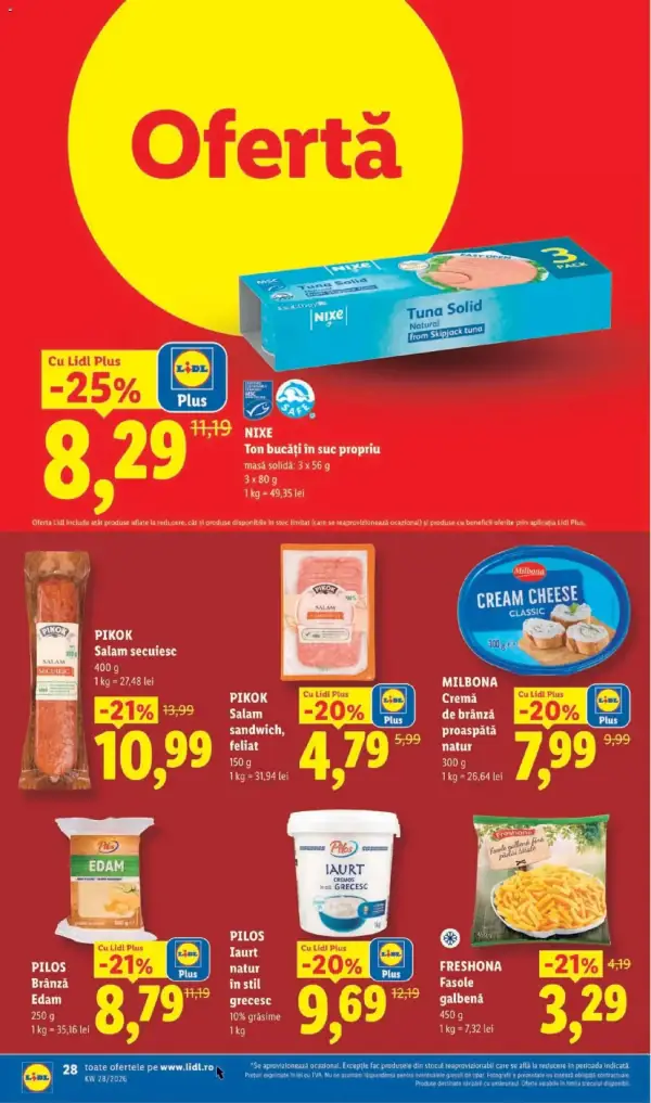 Pagina 28