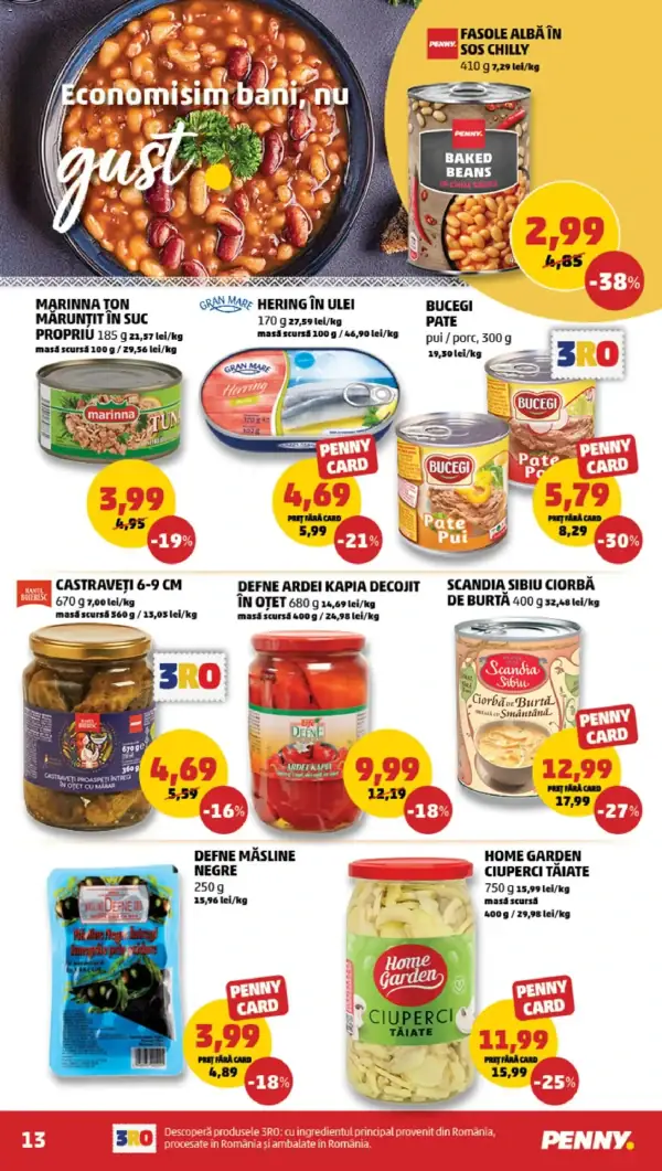 Pagina 13