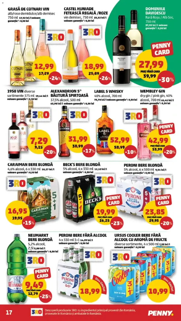 Pagina 17