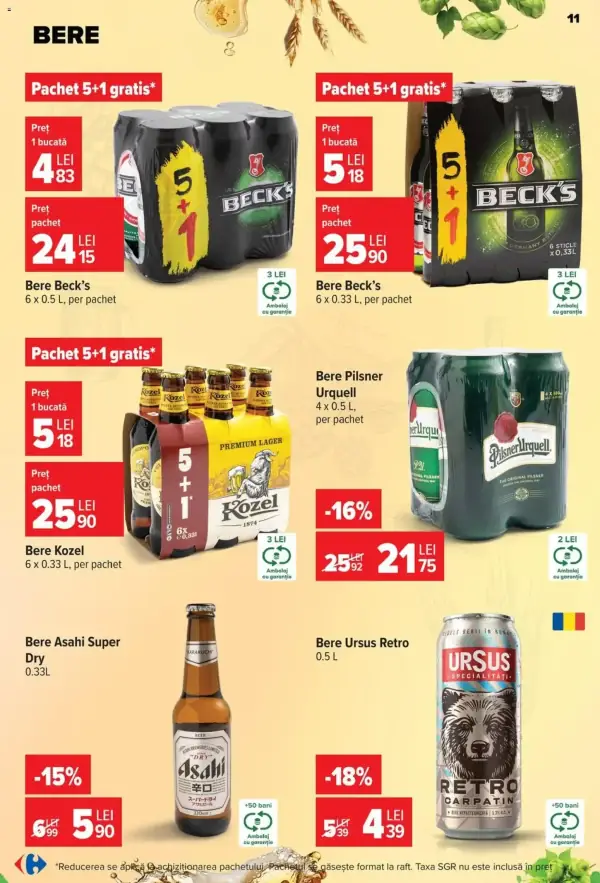 Pagina 12