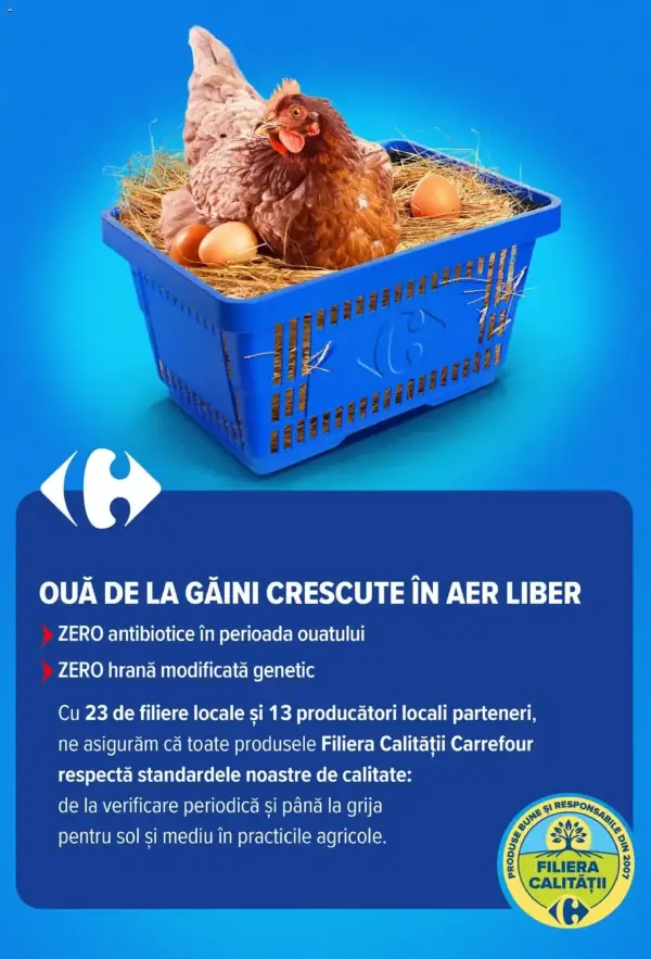 Pagina 43