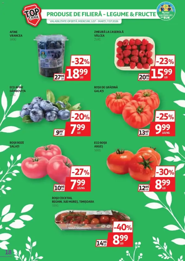 Pagina 18