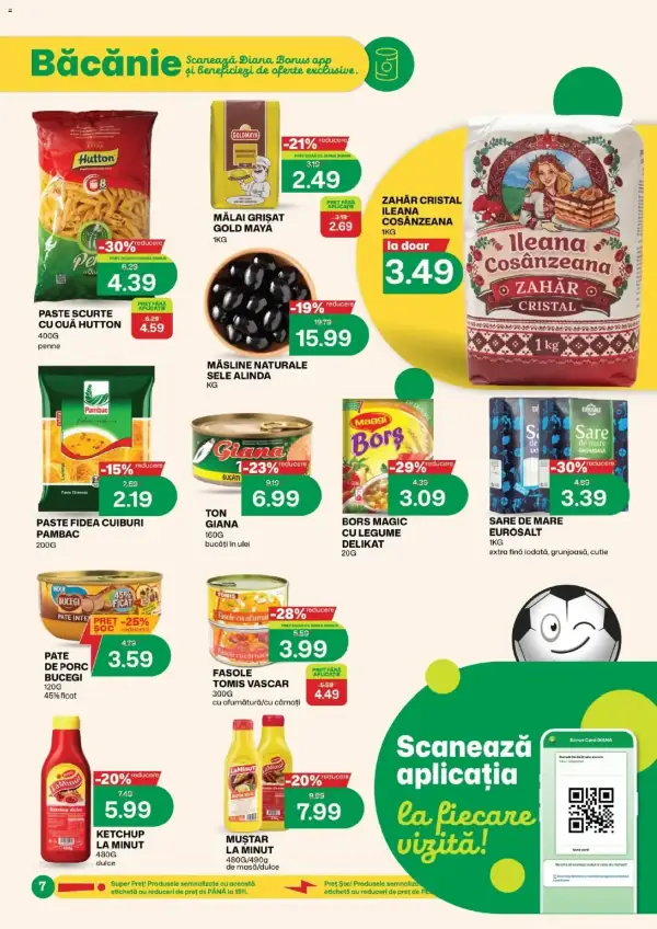 Pagina 7
