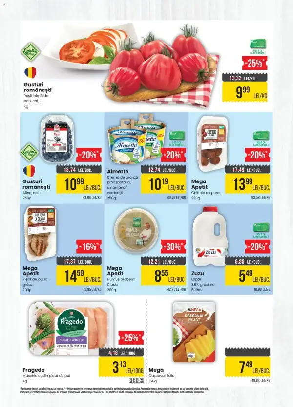 Pagina 2
