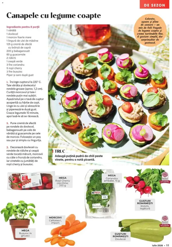 Pagina 11