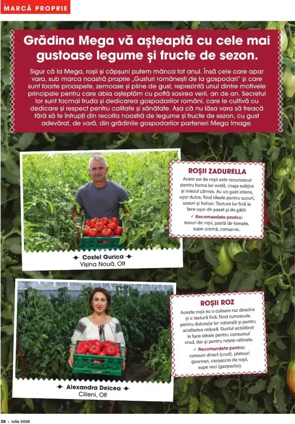 Pagina 26