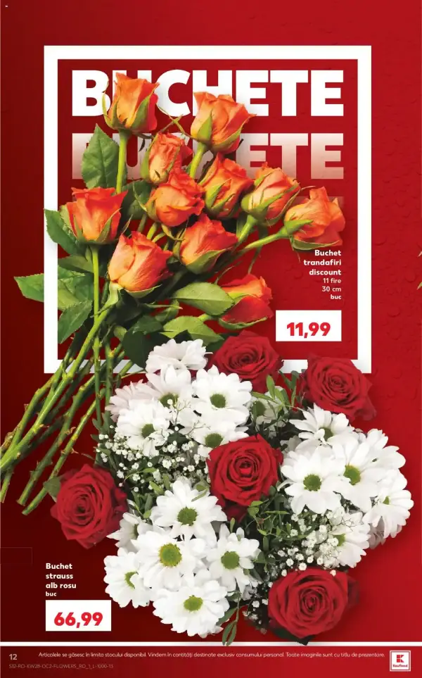 Pagina 12