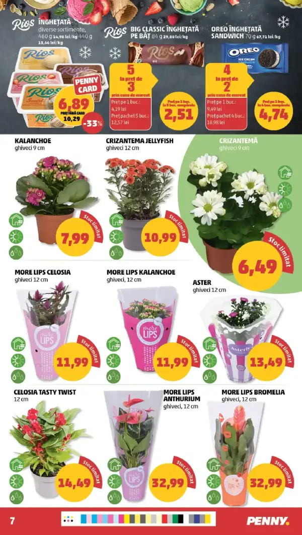 Pagina 7