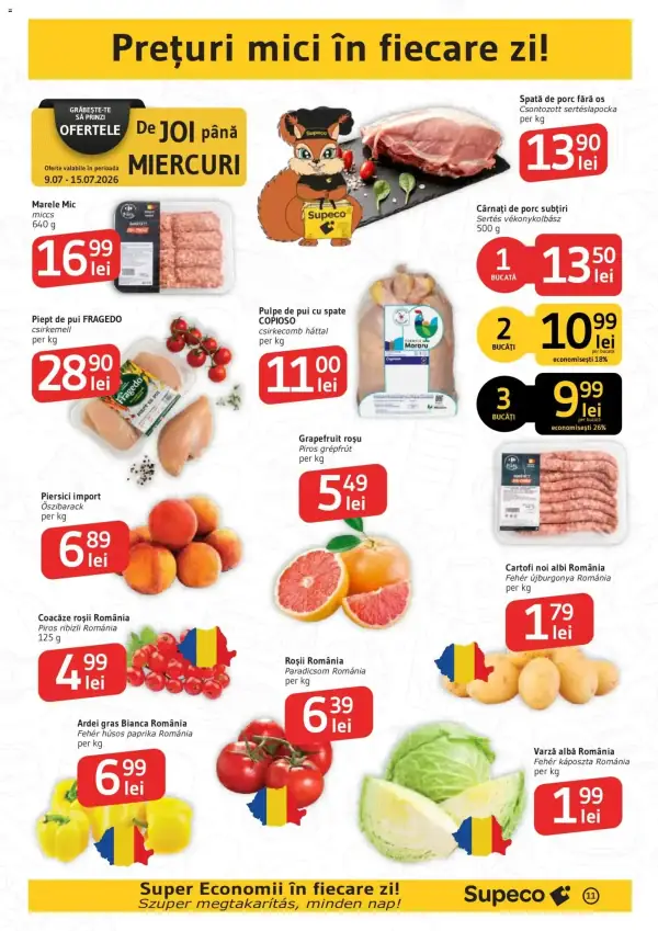 Pagina 11