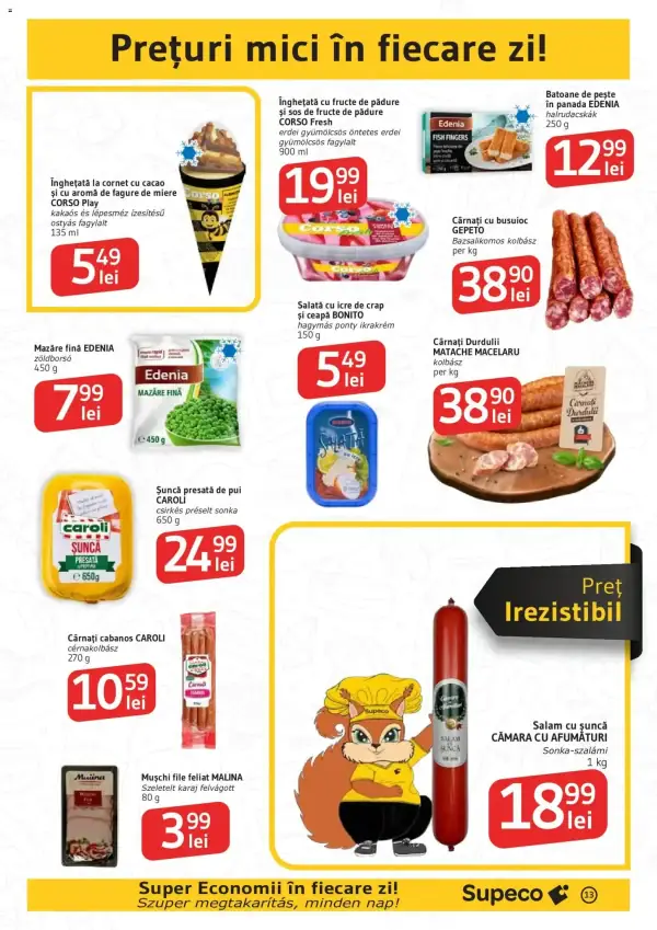 Pagina 13