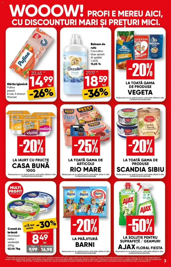 Pagina 3