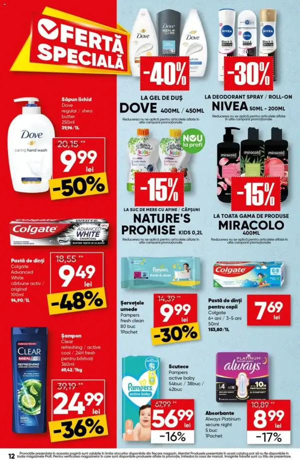 Pagina 12