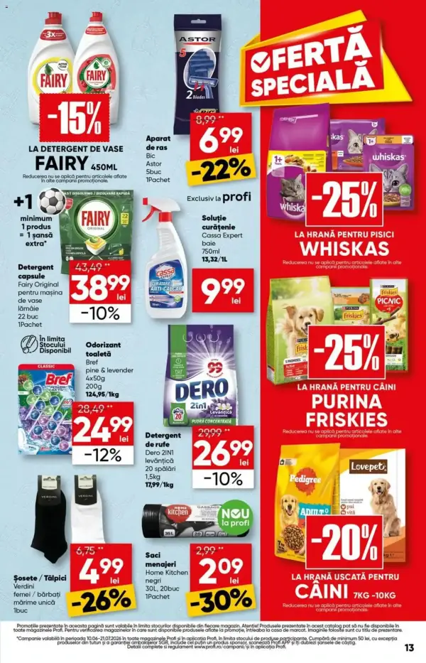 Pagina 13