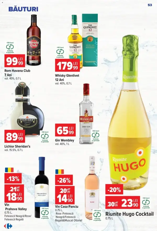 Pagina 54