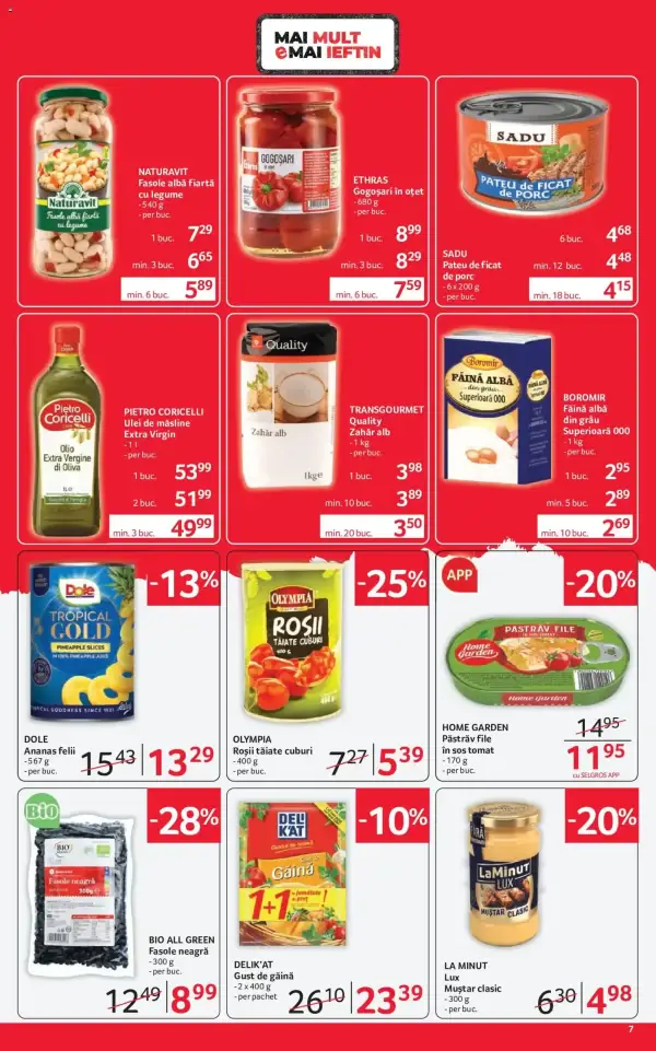 Pagina 7