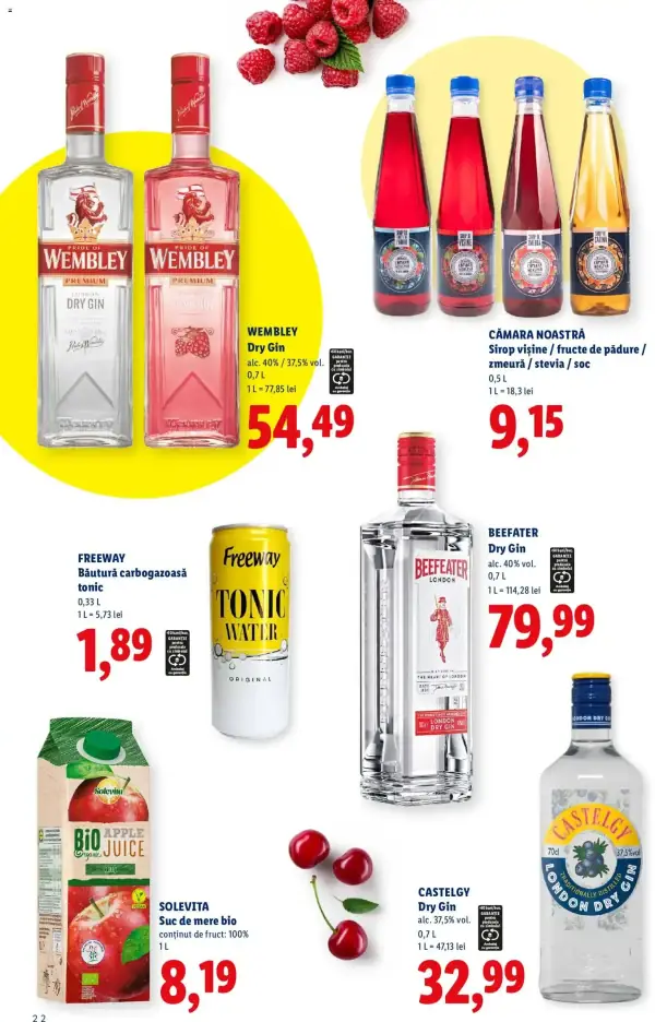 Pagina 22