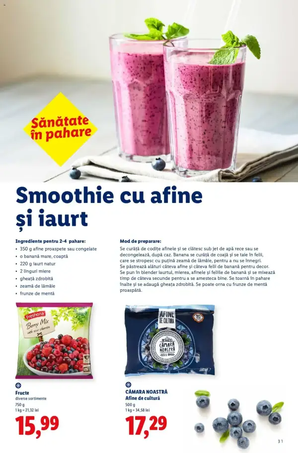 Pagina 31