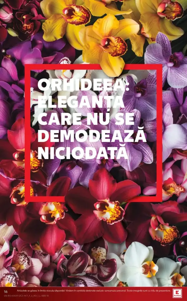 Pagina 16