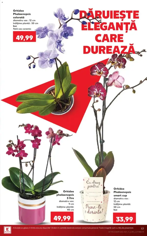 Pagina 17