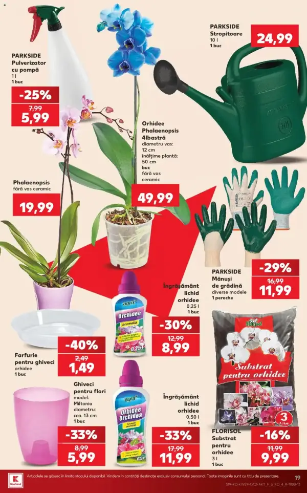 Pagina 19