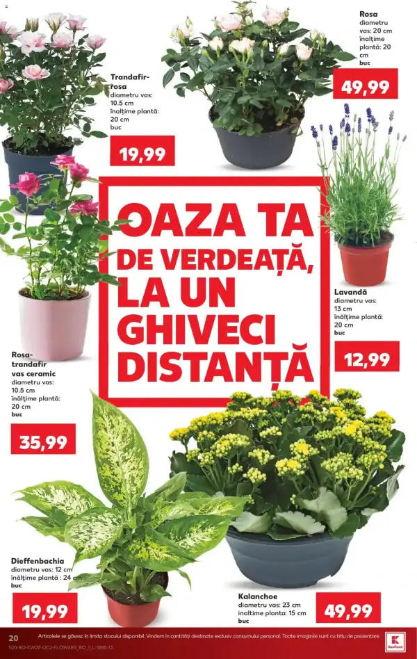 Pagina 20
