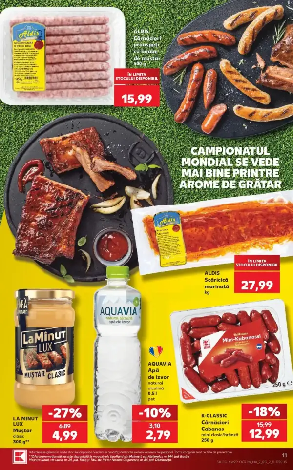 Pagina 11