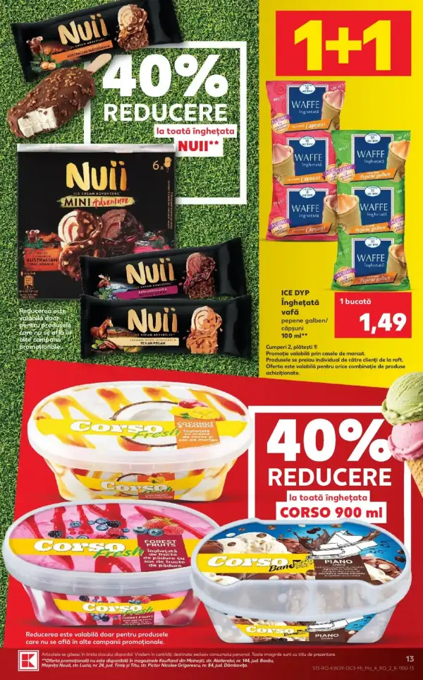 Pagina 13
