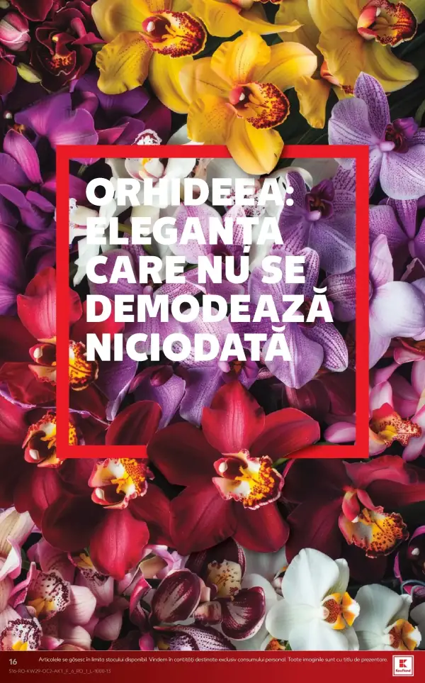 Pagina 16