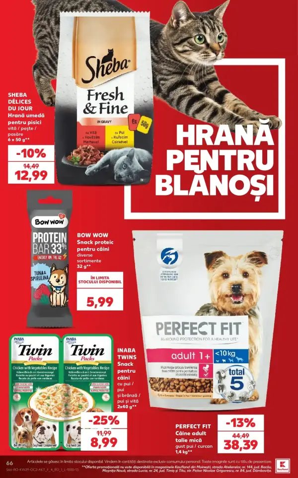 Pagina 66