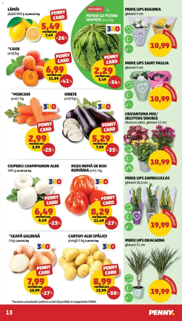 Pagina 13
