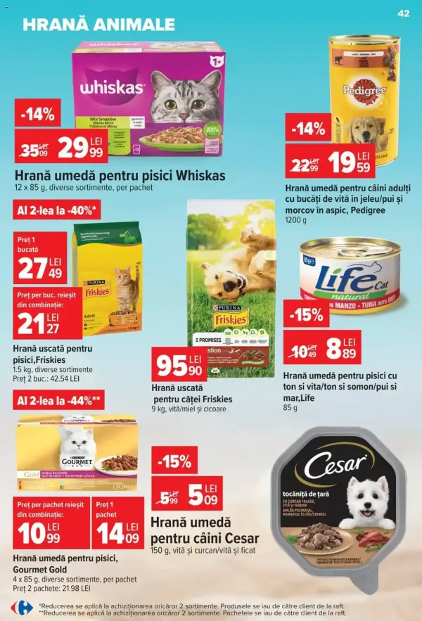 Pagina 41