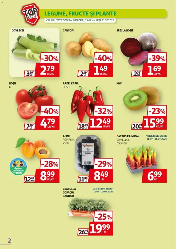 Pagina 2