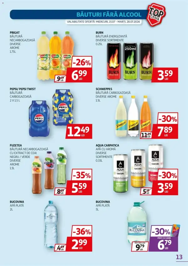 Pagina 13