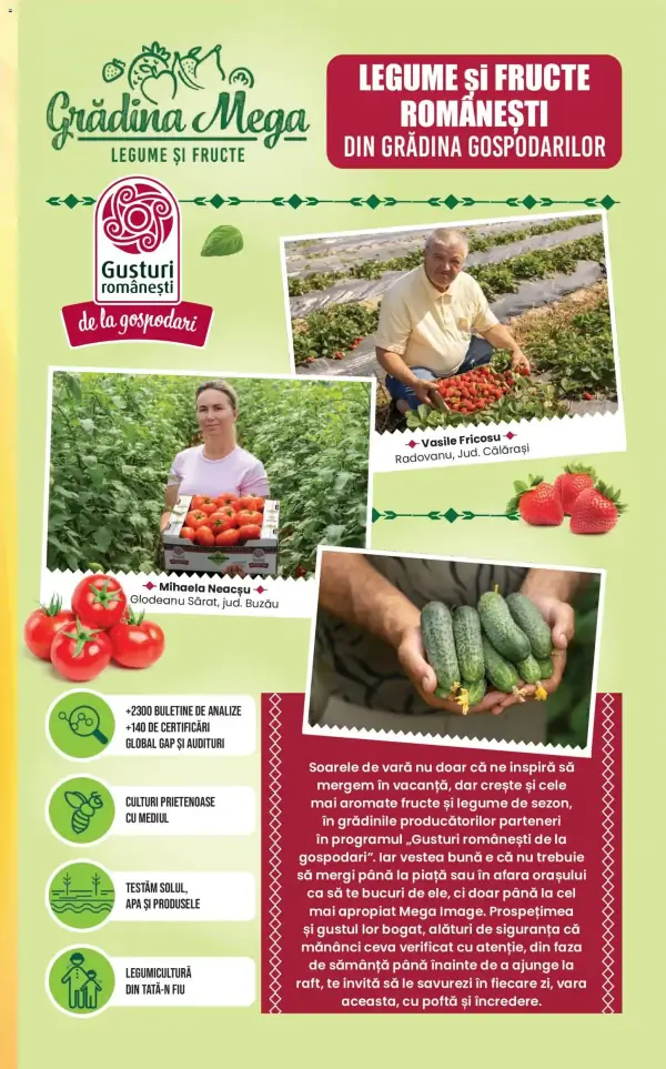 Pagina 11